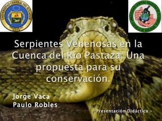 Jorge Vaca
Paulo Robles
               - Presentación Didáctica -
 