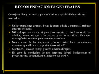RECOMENDACIONES GENERALES Consejos útiles y necesarios para minimizar las probabilidades de una mordedura:  Utilice pantalones gruesos, botas de cuero o hule y guantes al trabajar en áreas boscosas. NO coloque las manos ni pies directamente en los huecos de los árboles, cuevas, debajo de las piedras y de ramas caídas.  Es mejor usar algún instrumento para remover escombros.  Nunca manipule las serpientes. ¿Conoce usted bien las especies venenosas y cuál es su comportamiento natural?  Mantener el área de trabajo y zonas aledañas limpias. En caso de mordedura de una serpiente deberá implementar el procedimiento de seguridad establecido por MPSA.  
