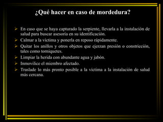 ¿Qué hacer en caso de mordedura? En caso que se haya capturado la serpiente, llevarla a la instalación de salud para buscar asesoría en su identificación. Calmar a la víctima y ponerla en reposo rápidamente. Quitar los anillos y otros objetos que ejerzan presión o constricción, tales como torniquetes. Limpiar la herida con abundante agua y jabón. Inmovilice el miembro afectado. Traslade lo más pronto posible a la víctima a la instalación de salud más cercana. 