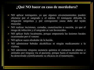 ¿Qué NO hacer en caso de mordedura? NO aplicar torniquetes, ya que algunos envenenamientos pueden afectarse por el sangrado y el edema. El torniquete dificulta la irrigación sanguínea y por consiguiente causa daño del tejido muscular.  NO realizar incisiones, cortadas, cauterización o succión, ya que el riesgo de infección y el sangrado se ven favorecidos.  NO aplicar hielo localmente, porque empeoraría las lesiones locales ocasionadas por el veneno. NO aplicar suero alrededor de la herida. NO administrar bebidas alcohólicas ni ningún medicamento a la víctima.  NO administre ninguna sustancia química ni extractos de plantas o animales por ninguna vía al paciente, porque hasta el momento no se ha demostrado científicamente su eficacia en el tratamiento.  