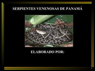SERPIENTES VENENOSAS DE PANAMÁ

ELABORADO POR:

 