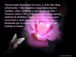 Nuestro patio llega hasta la cerca...y el de ellos llega
al horizonte. • Que nosotros compramos nuestra
comida;...ellos, s...