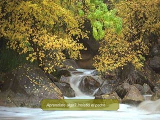 Aprendiste algo? Insistió el padre. 