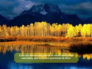 Cada día somos más pobres en observación de la naturaleza, que es la obra grandiosa de Dios.   