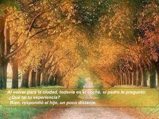 Al volver para la ciudad, todavía en el coche, el padre le preguntó:  ¿Qué tal tu experiencia?  Bien, respondió el hijo, un poco distante.    