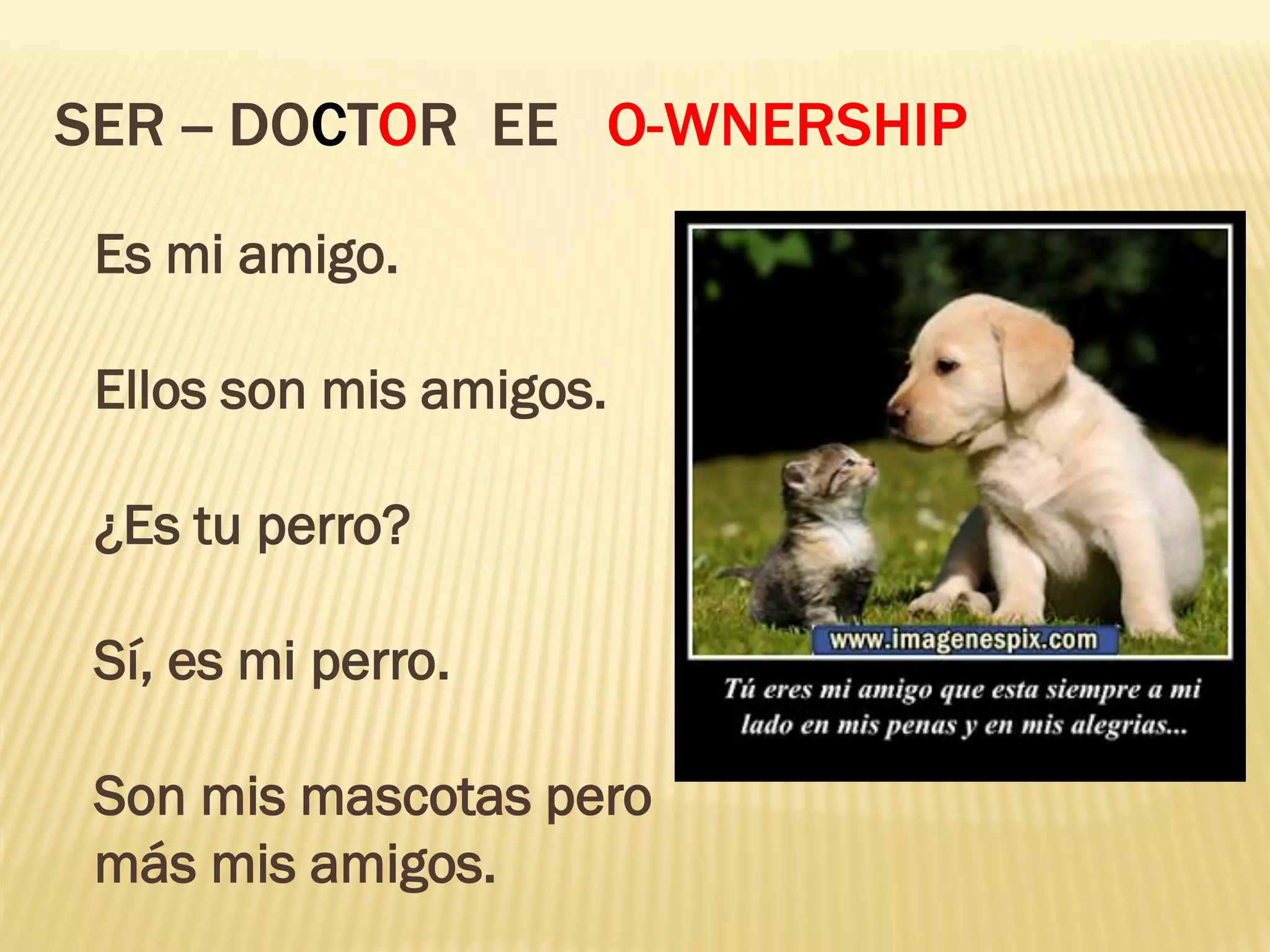 SER -- DOCTOR EE O-WNERSHIP
Es mi amigo.
Ellos son mis amigos.
¿Es tu perro?
Sí, es mi perro.
Son mis mascotas pero
más mis amigos.
 
