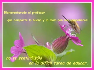 Bienaventurado el profesor
que comparte lo bueno y lo malo con sus compañeros:
no se sentirá sólo
en la difícil tarea de educar.
 