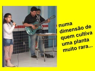 numa
ão de
ens
dim
ltiva
m cu
que
lanta
ma p
u
ra...
ito ra
mu

 
