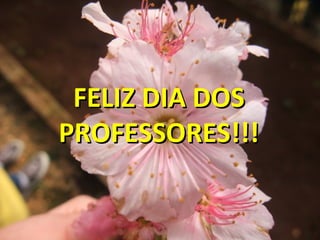 FELIZ DIA DOS
PROFESSORES!!!

 