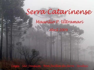 Serra Catarinense