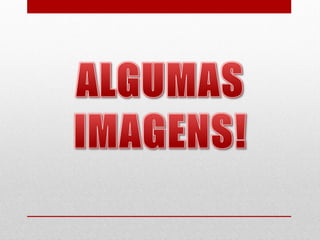 Serra da arrábida   13 e 29