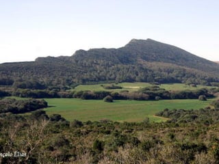 Serra da arrábida   13 e 29