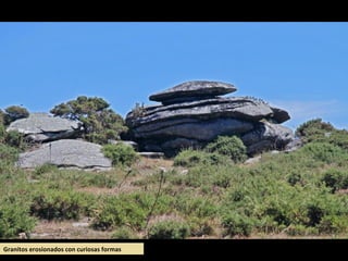 Granitos erosionados con curiosas formas
 