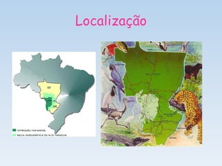Localização
 