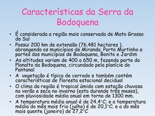 Características da Serra da
             Bodoquena
• É considerada a região mais conservada de Mato Grosso
  do Sul
• Possui 200 km de extensão (76.481 hectares ),
  abrangendo os municípios de Miranda, Porto Murtinho e
  partes dos municípios de Bodoquena, Bonito e Jardim
• As altitudes variam de 400 a 650 m, fazendo parte do
  Planalto da Bodoquena, circundado pela planície do
  Pantanal
• A vegetação é típica de cerrado e também contém
  características de floresta estacional decidual
• O clima da região é tropical úmido com estação chuvosa
  no verão e seca no inverno (esta durando três meses),
  com pluviosidade média anual em torno de 1300 mm.
• A temperatura média anual é de 24,4°C; e a temperatura
  média do mês mais frio (julho) é de 20,1°C; e a do mês
  mais quente (janeiro) de 27,2°C
 