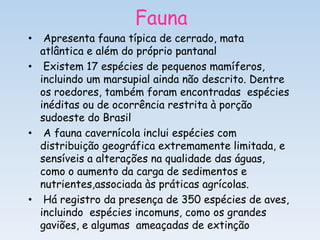 Fauna
•  Apresenta fauna típica de cerrado, mata
  atlântica e além do próprio pantanal
• Existem 17 espécies de pequenos mamíferos,
  incluindo um marsupial ainda não descrito. Dentre
  os roedores, também foram encontradas espécies
  inéditas ou de ocorrência restrita à porção
  sudoeste do Brasil
• A fauna cavernícola inclui espécies com
  distribuição geográfica extremamente limitada, e
  sensíveis a alterações na qualidade das águas,
  como o aumento da carga de sedimentos e
  nutrientes,associada às práticas agrícolas.
• Há registro da presença de 350 espécies de aves,
  incluindo espécies incomuns, como os grandes
  gaviões, e algumas ameaçadas de extinção
 