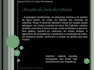 Escola 2º/3 Prof. Dr. Flávio Pinto Resende

Atrações da Serra da Cabreira
NA paisagem montanhosa, os pequenos riachos e as quedas
de água fazem, no verão, as delícias dos amantes da
natureza. Ainda é possível descobrir locais em estado quase
selvagem, em muitos recantos da serra. Na Cabreira, existem
também uma flora e fauna únicas, onde se destaca o garrano.
Nas aldeias mantêm--se costumes de outros tempos: a
agricultura de subsistência, o pastoreio e a produção de vinho,
em pequena escala, continuam a ocupar as gentes que aqui
moram.

5

Garrano: espécie equídea
portuguesa que ainda hoje
encontramos com frequência
ANO LECTIVO:2013/14-Geografia

 