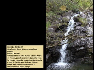 REGO DA CANDOCÍA
Un afluente do río Seixo no concello de
Cedeira.
COMO CHEGAR:
Pola estrada que sube de Feás a Santo André
de Teixido, pasada a canteira de dunita vese a
fervenza á esquerda, no punto onde se xunta
o rego de Candocía co río Seixo. Pódese
chegar a ela baixando polo monte e
remontando un pouco o rego.
 