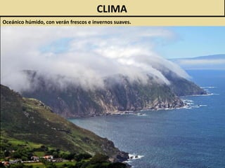 CLIMA
Oceánico húmido, con verán frescos e invernos suaves.
 