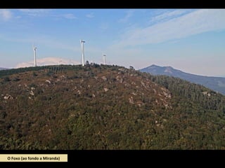 O Foxo (ao fondo a Miranda)
 