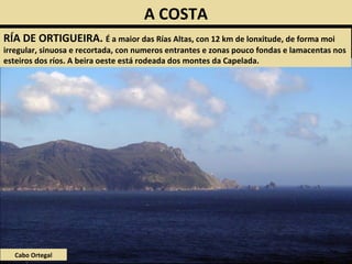 Cabo Ortegal
RÍA DE ORTIGUEIRA. É a maior das Rías Altas, con 12 km de lonxitude, de forma moi
irregular, sinuosa e recortada, con numeros entrantes e zonas pouco fondas e lamacentas nos
esteiros dos ríos. A beira oeste está rodeada dos montes da Capelada.
A COSTA
 