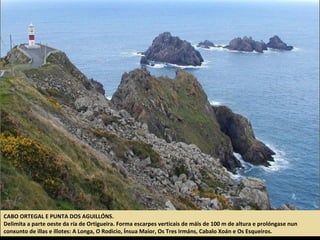 CABO ORTEGAL E PUNTA DOS AGUILLÓNS.
Delimita a parte oeste da ría de Ortigueira. Forma escarpes verticais de máis de 100 m de altura e prolóngase nun
conxunto de illas e illotes: A Longa, O Rodicio, Ínsua Maior, Os Tres Irmáns, Cabalo Xoán e Os Esqueiros.
 