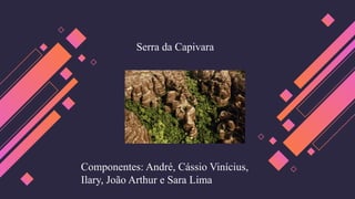 Componentes: André, Cássio Vinícius,
Ilary, João Arthur e Sara Lima
Serra da Capivara
 