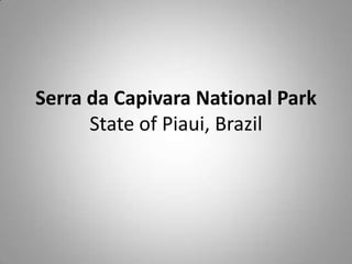 Serra da Capivara National Park
      State of Piaui, Brazil
 