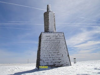 TORRE 