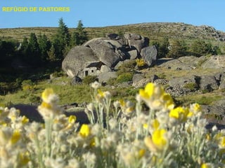 REFÚGIO DE PASTORES