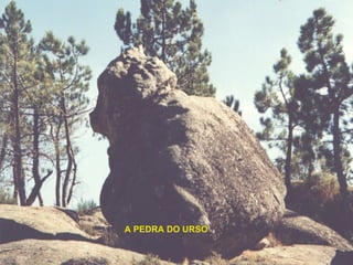 A PEDRA DO URSO