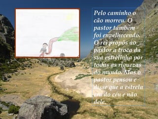 Pelo caminho o cão morreu. O pastor também foi envelhecendo. O rei propôs ao pastor a troca da sua estrelinha por todas as riquezas do mundo. Mas o pastor pensou e disse que a estrela era do céu e não dele. 
