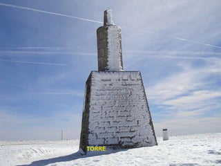 TORRE