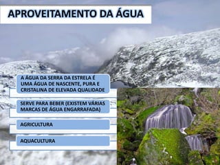 APROVEITAMENTO DA ÁGUA
A ÁGUA DA SERRA DA ESTRELA É
UMA ÁGUA DE NASCENTE, PURA E
CRISTALINA DE ELEVADA QUALIDADE
SERVE PARA BEBER (EXISTEM VÁRIAS
MARCAS DE ÁGUA ENGARRAFADA)
AGRICULTURA
AQUACULTURA
 