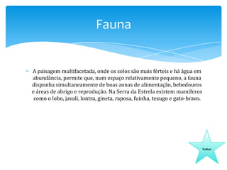 Fauna

A paisagem multifacetada, onde os solos são mais férteis e há água em
abundância, permite que, num espaço relativamente pequeno, a fauna
disponha simultaneamente de boas zonas de alimentação, bebedouros
e áreas de abrigo e reprodução. Na Serra da Estrela existem mamíferos
como o lobo, javali, lontra, gineta, raposa, fuinha, texugo e gato-bravo.

Voltar

 