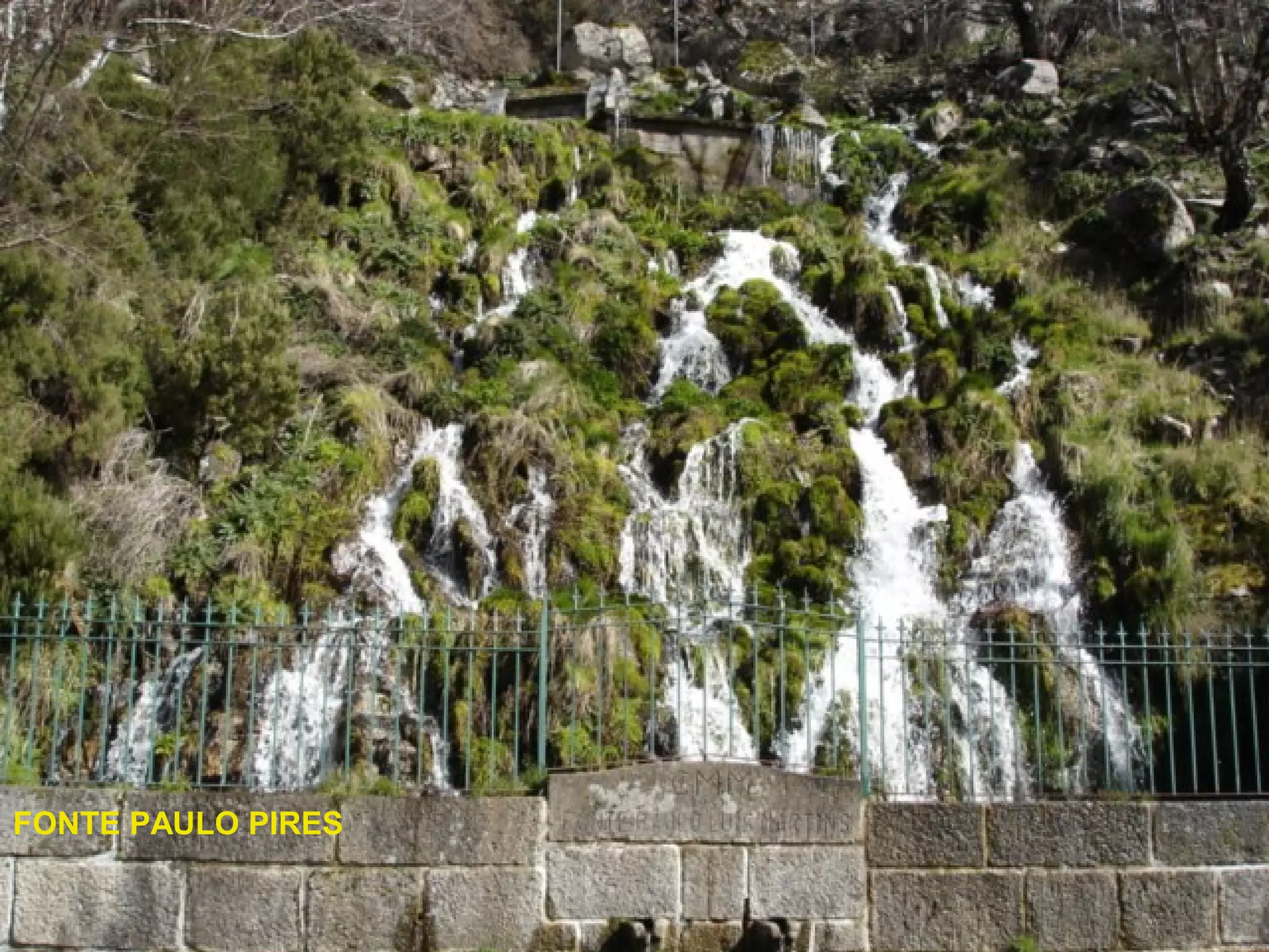 FONTE PAULO PIRES