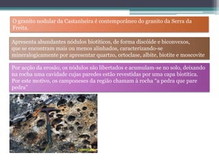 O granito nodular da Castanheira é contemporâneo do granito da Serra da
Freita.
Apresenta abundantes nódulos biotíticos, de forma discóide e biconvexos,
que se encontram mais ou menos alinhados, caracterizando-se
mineralogicamente por apresentar quartzo, ortoclase, albite, biotite e moscovite
Por acção da erosão, os nódulos são libertados e acumulam-se no solo, deixando
na rocha uma cavidade cujas paredes estão revestidas por uma capa biotítica.
Por este motivo, os camponeses da região chamam à rocha “a pedra que pare
pedra”
 