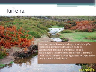 Turfeira
Local em que se forma a turfa, geralmente regiões
baixas com drenagem deficiente, onde se
desenvolvem musgos e gramíneas, de cuja
acumulação e incarbonização muito lenta resulta a
turfa. São comuns em zonas ligeiramente deprimidas
e com abundância de água.
 