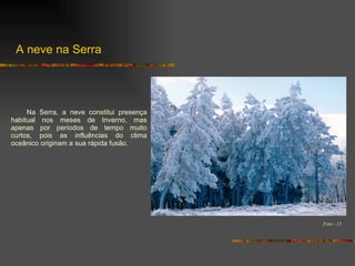 A neve na Serra Na Serra, a neve constitui presença habitual nos meses de Inverno, mas apenas por períodos de tempo muito curtos, pois as influências do clima oceânico originam a sua rápida fusão. Foto - 13 