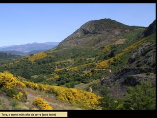 Tara, o cume máis alto da serra (cara leste)
 