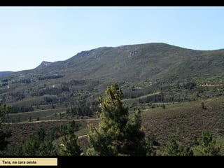 Tara, na cara oeste
 