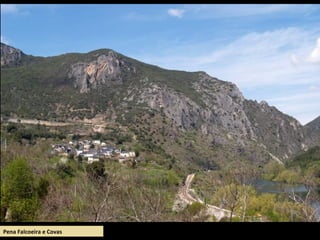 Pena Falcoeira e Covas
 