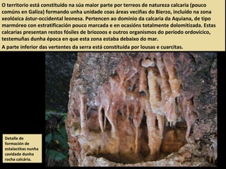 O territorio está constituído na súa maior parte por terreos de natureza calcaria (pouco
comúns en Galiza) formando unha unidade coas áreas veciñas do Bierzo, incluído na zona
xeolóxica ástur-occidental leonesa. Pertencen ao dominio da calcaria da Aquiana, de tipo
marmóreo con estratificación pouco marcada e en ocasións totalmente dolomitizada. Estas
calcarias presentan restos fósiles de briozoos e outros organismos do período ordovícico,
testemuñas dunha época en que esta zona estaba debaixo do mar.
A parte inferior das vertentes da serra está constituída por lousas e cuarcitas.
Detalle de
formación de
estalactitas nunha
cavidade dunha
rocha calcária.
 