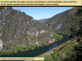 As rochas calcárias dan lugar a formas características: canóns profundos, como o do Sil en
Covas, agullas espectaculares (Penedos de Oulego) e covas ou palas.
Parede do canón do Sil nas proximidades de Covas
 