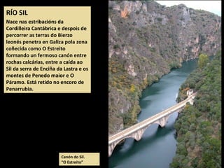 RÍO SIL
Nace nas estribacións da
Cordilleira Cantábrica e despois de
percorrer as terras do Bierzo
leonés penetra en Galiza pola zona
coñecida como O Estreito
formando un fermoso canón entre
rochas calcárias, entre a caída ao
Sil da serra de Enciña da Lastra e os
montes de Penedo maior e O
Páramo. Está retido no encoro de
Penarrubia.
Canón do Sil.
“O Estreito”
 