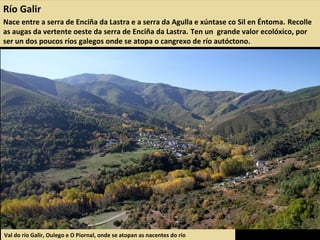 Río Galir
Nace entre a serra de Enciña da Lastra e a serra da Agulla e xúntase co Sil en Éntoma. Recolle
as augas da vertente oeste da serra de Enciña da Lastra. Ten un grande valor ecolóxico, por
ser un dos poucos ríos galegos onde se atopa o cangrexo de río autóctono.
Val do río Galir, Oulego e O Piornal, onde se atopan as nacentes do río
 