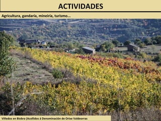 Viñedos en Biobra (Acollidos á Denominación de Orixe Valdeorras
ACTIVIDADES
Agricultura, gandaría, mineiría, turismo...
 
