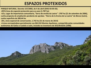 ESPAZOS PROTEXIDOS
PARQUE NATURAL. Decreto 157/2002, do 4 de abril (DOG 03-05-02).
-ZEPA Zona de especial protección para as aves (1.787 ha)
-LICs, Lugar de importancia comunitaria, “Serra de enciña da Lastra” 1787 ha (21 de setembro de 2006),
cunha proposta de ampliación pendente de aprobar. “Sierra de la Encina de La Lastra” do Bierzo (León),
cunha superficie de 289,44 ha.
-ZEC, Zona especial de conservación, 1.742 ha (31 de marzo de 2014)
-A área correspóndese parcialmente coa IBA 010 Montes Aquilanos, compartida polas comunidades
autónomas de Galiza e Castela e León, incluida no inventario de SEO/BirdLife (1998).
 
