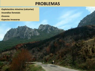 PROBLEMAS
-Explotacións mineiras (calcarias)
-Incendios forestais
-Encoros
-Especies invasoras
 