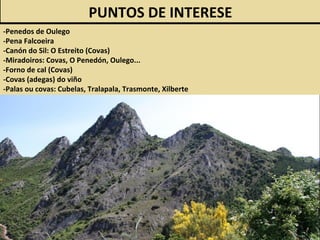 PUNTOS DE INTERESE
-Penedos de Oulego
-Pena Falcoeira
-Canón do Sil: O Estreito (Covas)
-Miradoiros: Covas, O Penedón, Oulego...
-Forno de cal (Covas)
-Covas (adegas) do viño
-Palas ou covas: Cubelas, Tralapala, Trasmonte, Xilberte
 